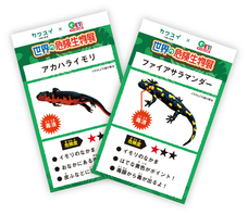 株式会社アクア・ライブ・インベストメントのプレスリリース画像10