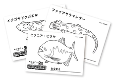 株式会社アクア・ライブ・インベストメントのプレスリリース画像7