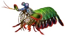 株式会社アクア・ライブ・インベストメントのプレスリリース画像6