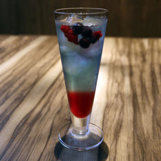 株式会社アクア・ライブ・インベストメントのプレスリリース画像14