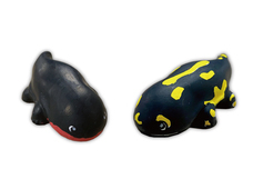 株式会社アクア・ライブ・インベストメントのプレスリリース画像9