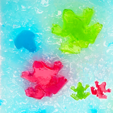 株式会社アクア・ライブ・インベストメントのプレスリリース画像16