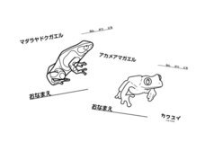 株式会社アクア・ライブ・インベストメントのプレスリリース画像5