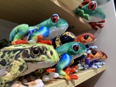 株式会社アクア・ライブ・インベストメントのプレスリリース画像17