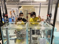 株式会社アクア・ライブ・インベストメントのプレスリリース画像9