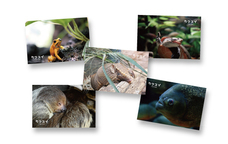 株式会社アクア・ライブ・インベストメントのプレスリリース画像2