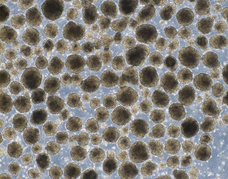 佐竹マルチミクス株式会社のプレスリリース画像2