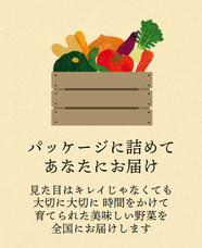 エクネス株式会社のプレスリリース画像1