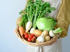 Dotanba農園のプレスリリース画像1