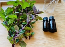 カオリ乃のプレスリリース画像1