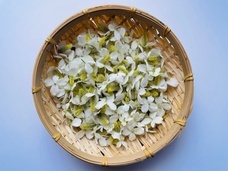 カオリ乃のプレスリリース画像1