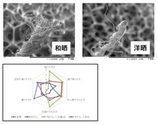 大東寝具工業のプレスリリース画像1