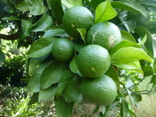 株式会社Princess　Co．のプレスリリース画像13