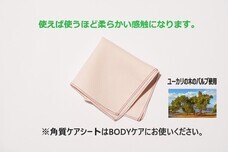 株式会社Princess　Co．のプレスリリース画像6