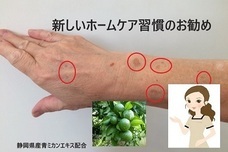 株式会社Princess　Co．のプレスリリース画像1