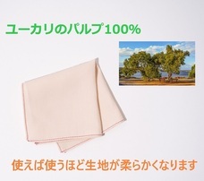 株式会社Princess　Co．のプレスリリース画像4