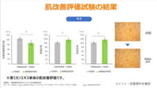 株式会社Princess　Co．のプレスリリース画像7