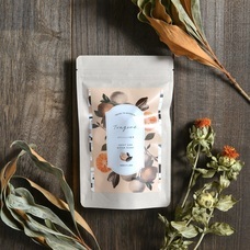 トラジェントのプレスリリース画像1