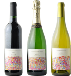 マヴィ株式会社のプレスリリース画像1