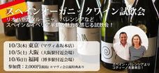マヴィ株式会社のプレスリリース1