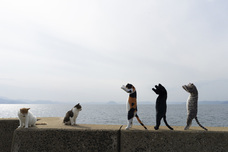 株式会社リードのプレスリリース画像5