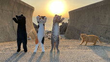 株式会社リードのプレスリリース画像4