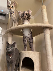 株式会社リードのプレスリリース画像1