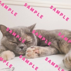 株式会社リードのプレスリリース画像7