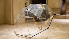 ホワイトローズ株式会社のプレスリリース画像3