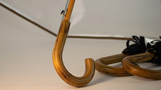 ホワイトローズ株式会社のプレスリリース画像4