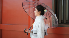 ホワイトローズ株式会社のプレスリリース画像4