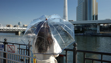 ホワイトローズ株式会社のプレスリリース画像5