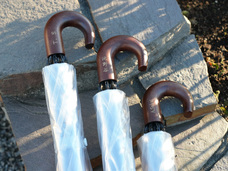 ホワイトローズ株式会社のプレスリリース画像2