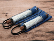 ホワイトローズ株式会社のプレスリリース画像4