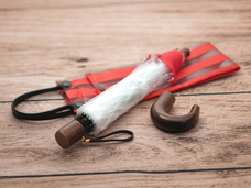 ホワイトローズ株式会社のプレスリリース画像8