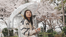 ホワイトローズ株式会社のプレスリリース画像3