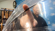 ホワイトローズ株式会社のプレスリリース画像5