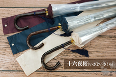 ホワイトローズ株式会社のプレスリリース画像4