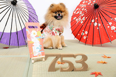 株式会社エクスラントのプレスリリース画像1