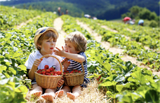 株式会社BARNUMのプレスリリース画像3