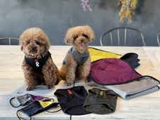 株式会社BARNUMのプレスリリース画像7