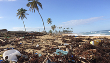 株式会社BARNUMのプレスリリース画像2