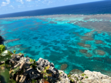 株式会社BARNUMのプレスリリース画像1