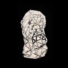 KENICHI NAKAYAのプレスリリース画像1