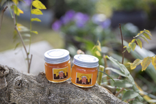 海辺の出版社のプレスリリース画像6