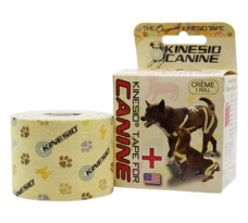 一般社団法人キネシオテーピング協会のプレスリリース画像1