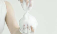 SeedInnovationPressのプレスリリース画像2