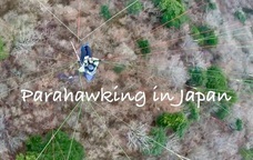 Parahawking(パラホーキング) in Japanのプレスリリース画像7