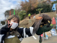 Parahawking(パラホーキング) in Japanのプレスリリース画像6