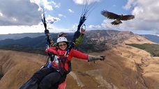 Parahawking(パラホーキング) in Japanのプレスリリース画像8